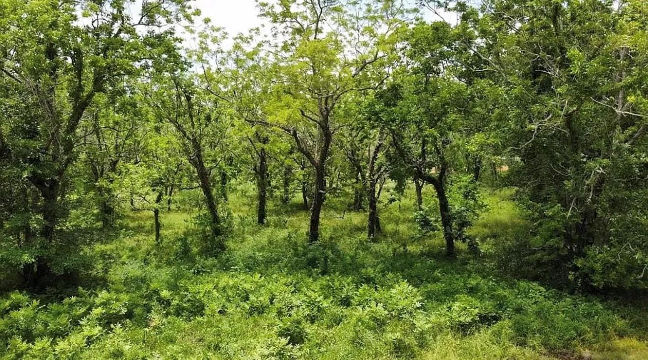 0 County Road 36