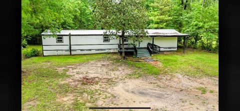 Tiny photo for 205 Collin Street, Livingston, TX 77351 (MLS # 7388210)