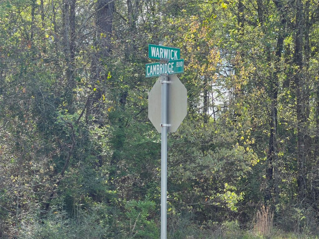 Photo of 25468 Cambridge Boulevard, New Caney, TX 77357 (MLS # 77366908)