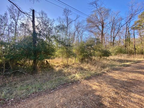 Vacant Land For Sale - LOT #10 Tall Timber Road<br/> Houston County, Crockett, TX 75835