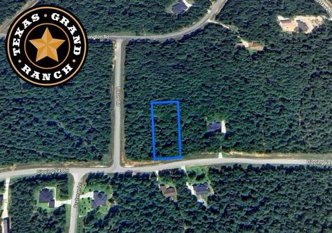 Vacant Land For Sale - 5-6-229 Dipping Vat Road<br/> Huntsville, TX 77340