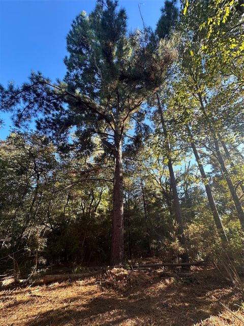 TR 5 Cr 219 Buffalo TX 75831