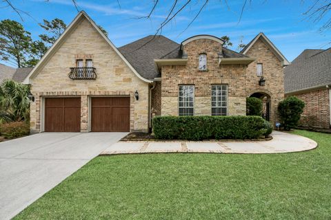 6 Bridgewood Cove Court The Woodlands TX 77381