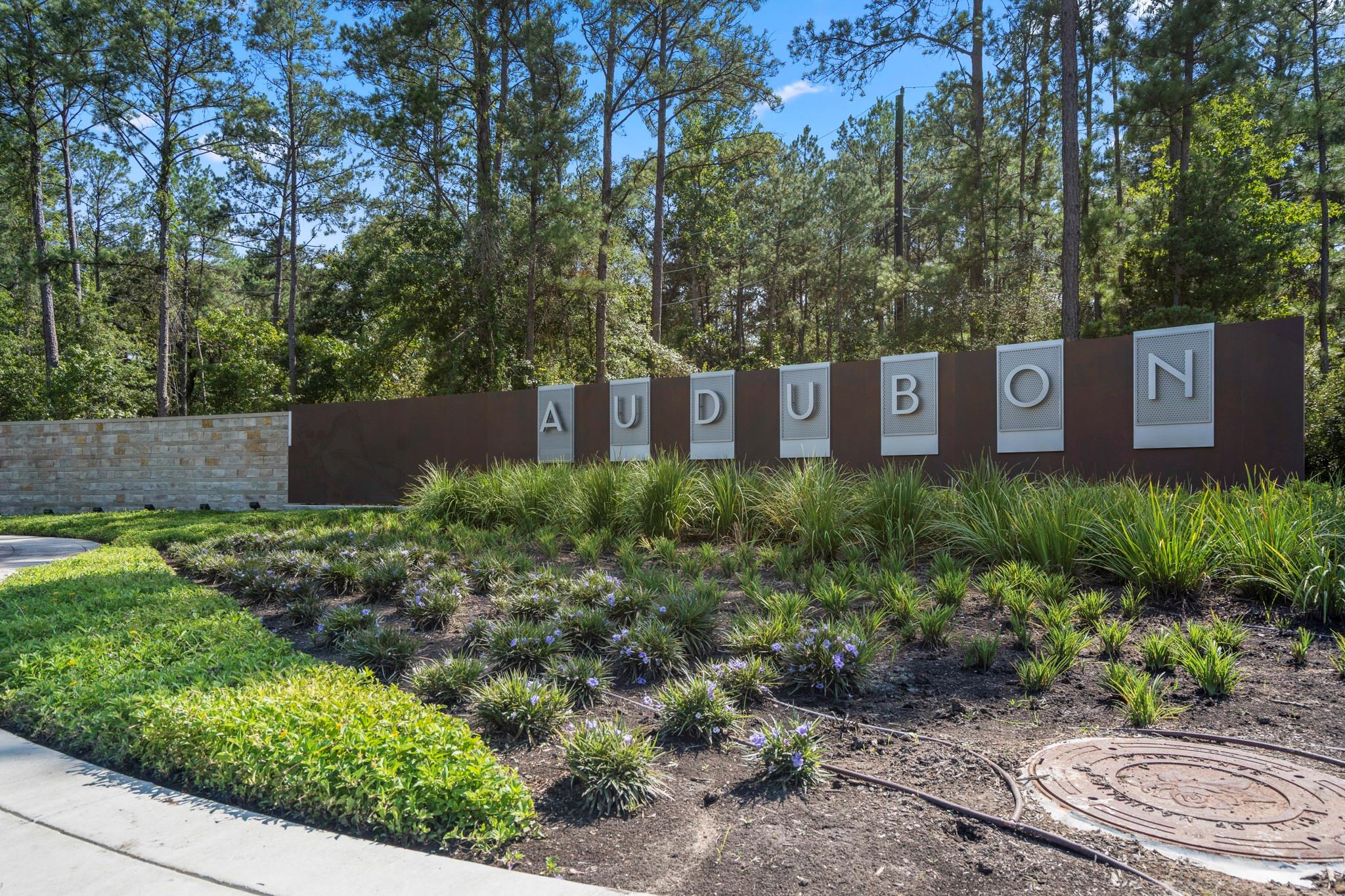 172 Shoveler Duck Way