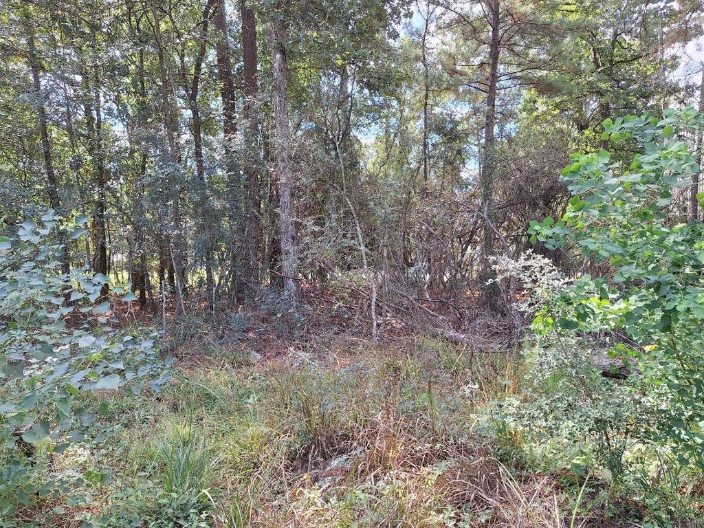 Photo of 1023 Weisinger Drive, Magnolia, TX 77354 (MLS # 81020543)