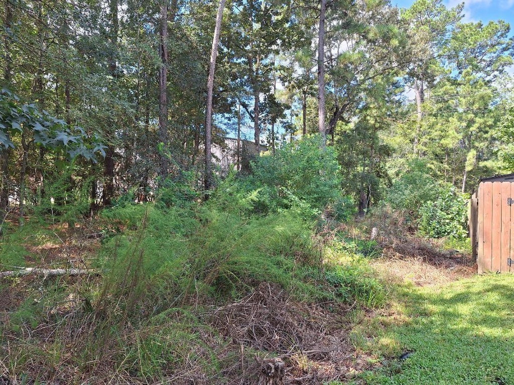 Photo of 1023 Weisinger Drive, Magnolia, TX 77354 (MLS # 81020543)