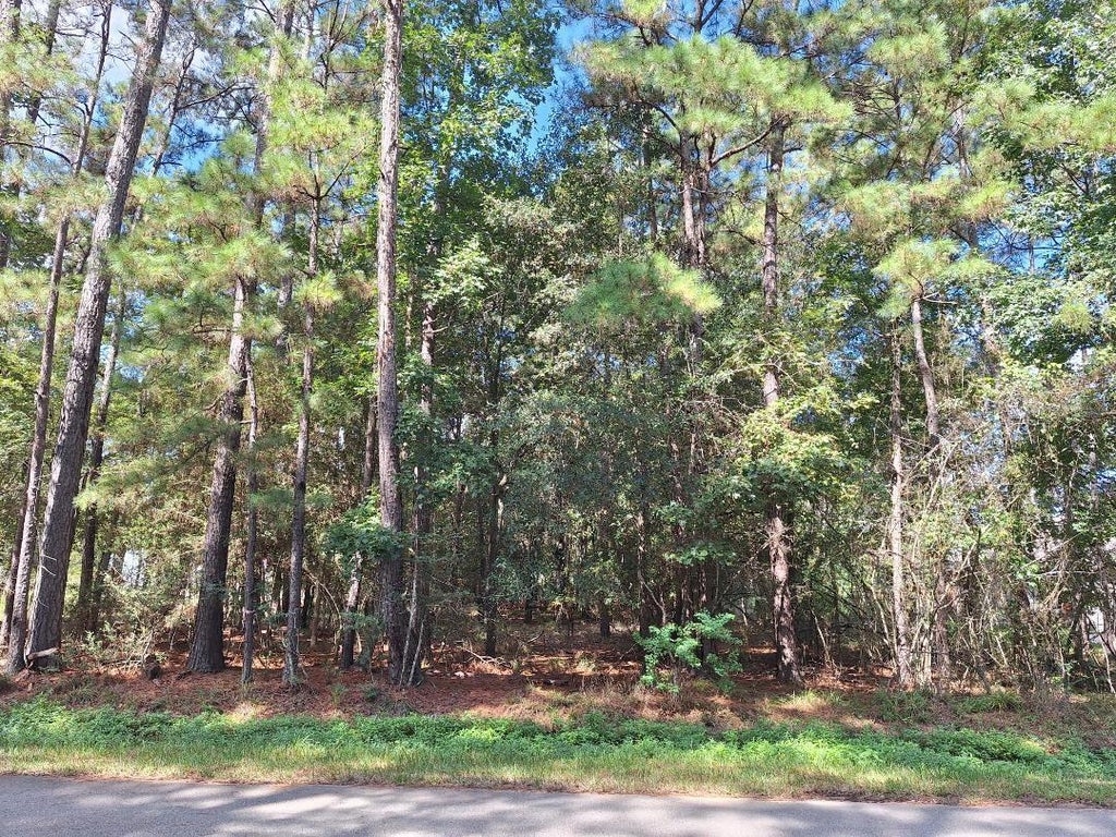 Photo of 1023 Weisinger Drive, Magnolia, TX 77354 (MLS # 81020543)