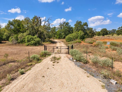 Vacant Land For Sale - 10469 County Road 302<br/> Burleson County, Rockdale, TX 76567