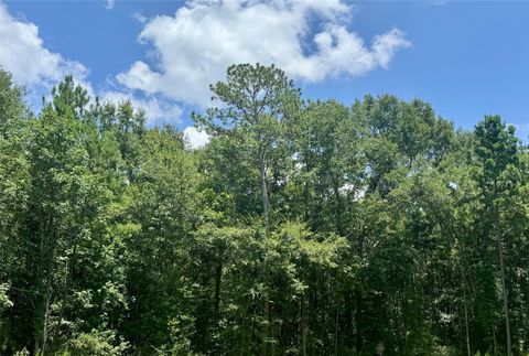 Photo of 14 Riverstone Drive AVE, Livingston, TX 77351 (MLS # 39344831)