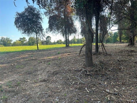 Vacant Land For Sale - 1 Highway 7 West<br/> Crockett, TX 75835