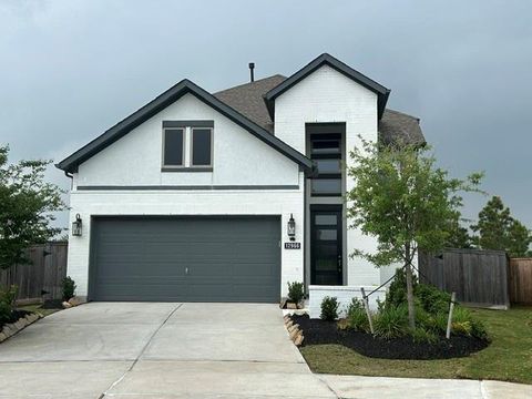 Photo of 12966 California Palm Court, Cypress, TX 77433 (MLS # 74831722)