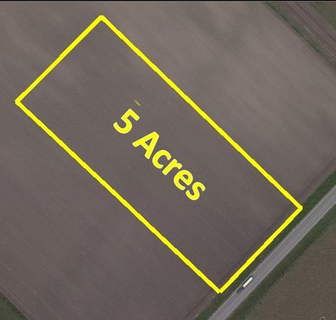 TBD Farm To Market 1462 Needville TX 77461