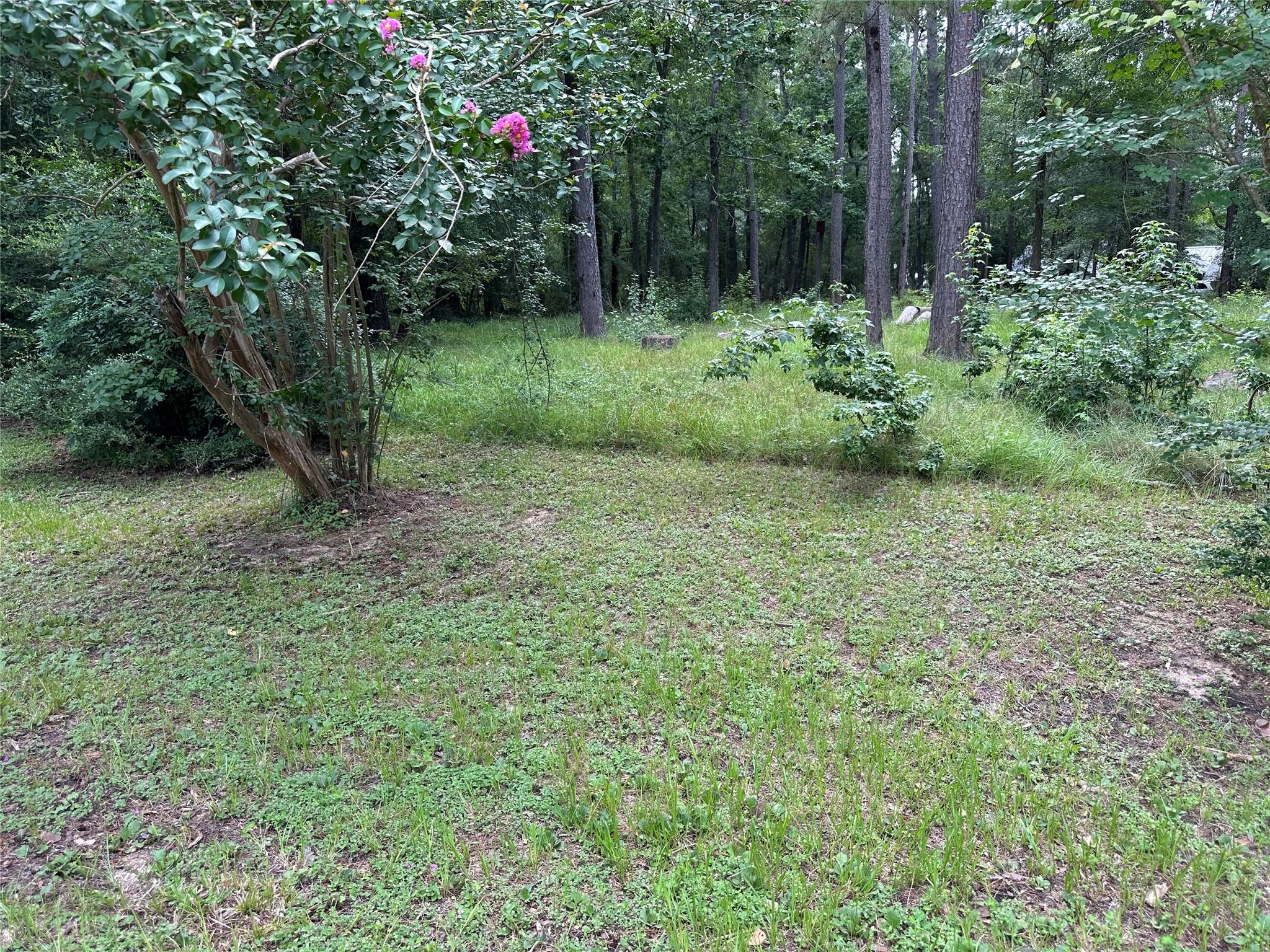 3779 Spring Drive