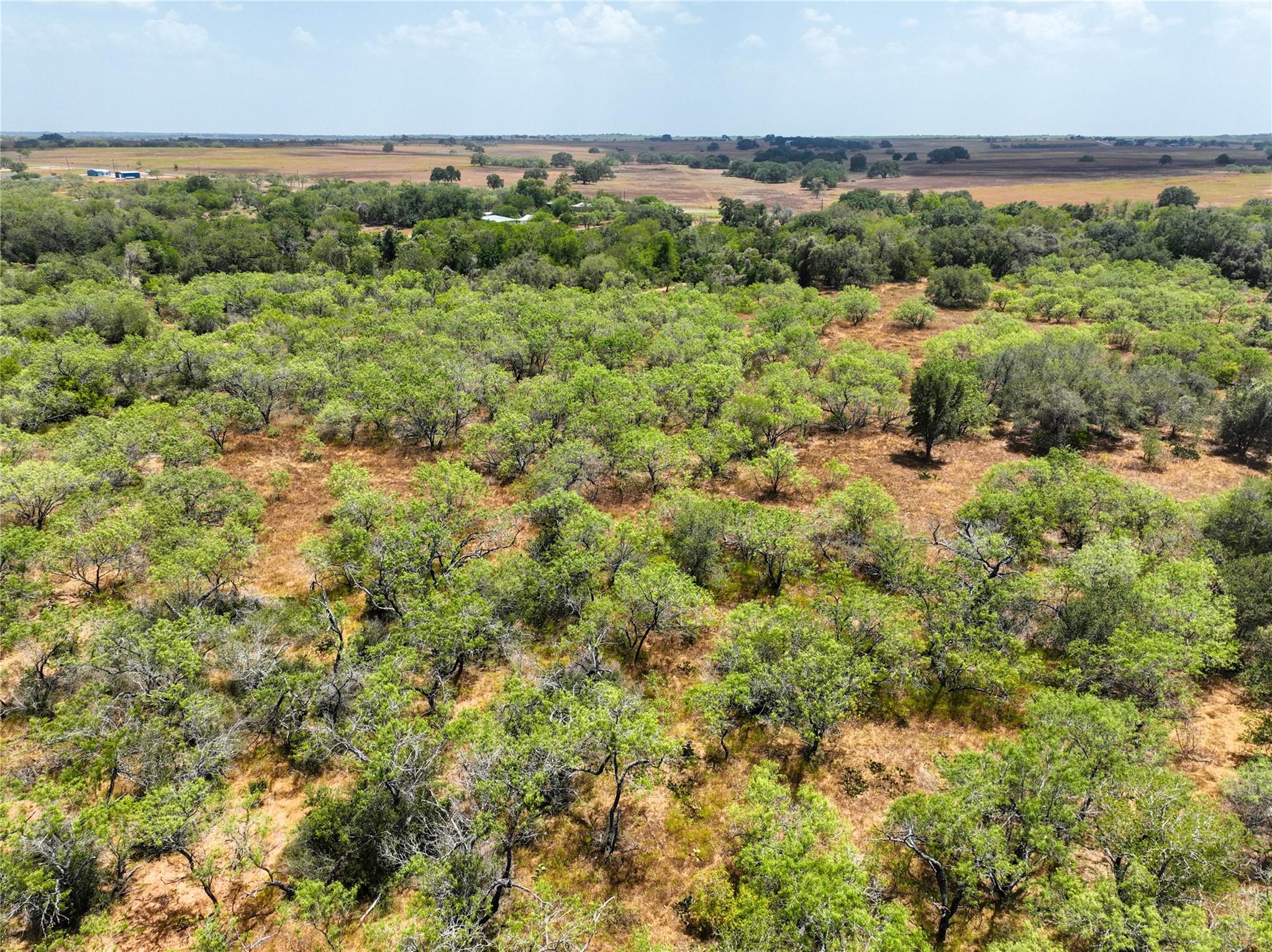 Lot 22 Cr 124 Road