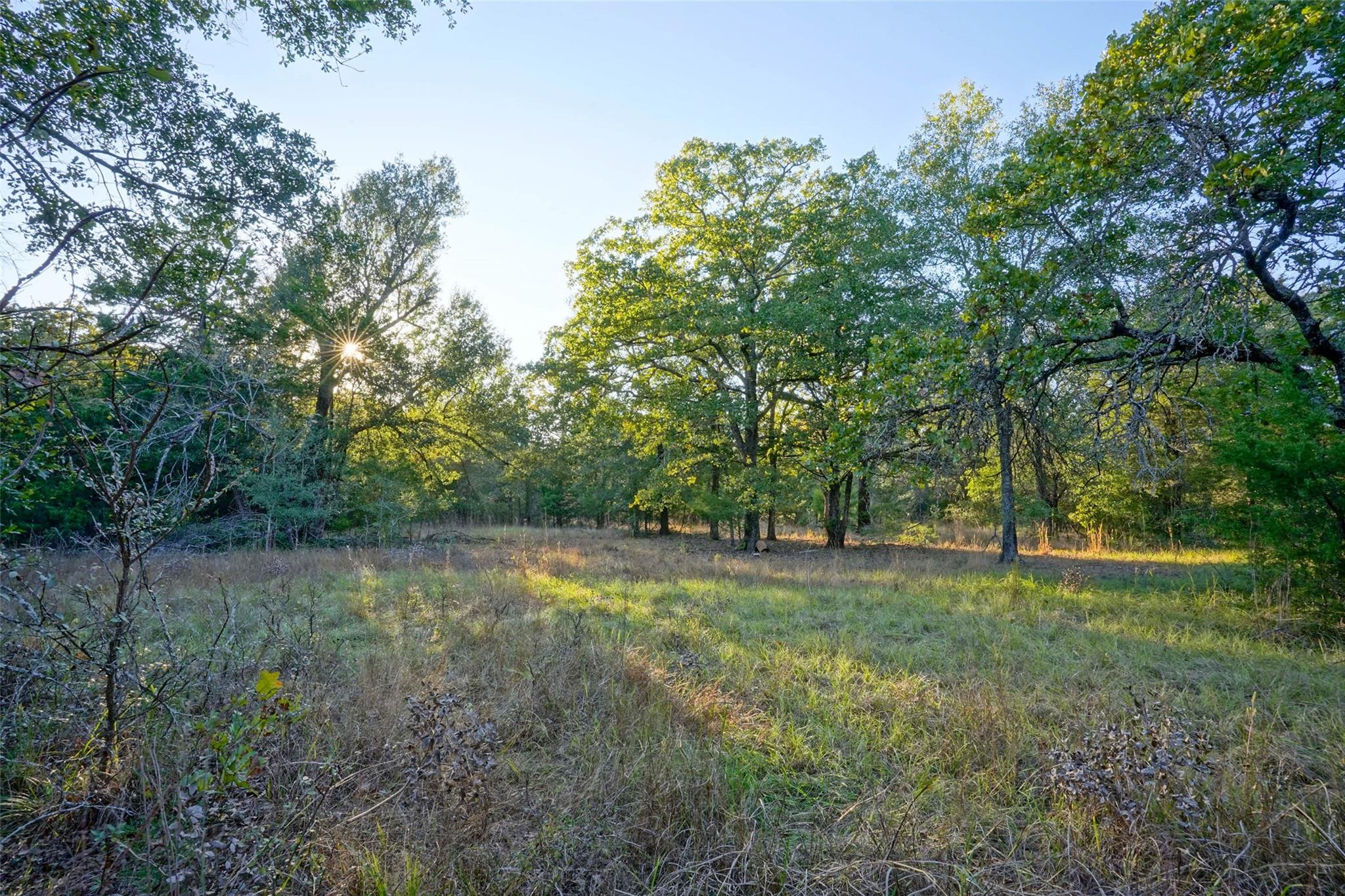 5 Acres Fcr 930