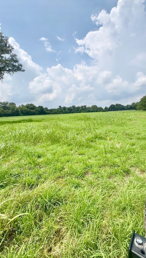 Photo of 0 County Road 42, Rosharon, TX 77583 (MLS # 15827008)