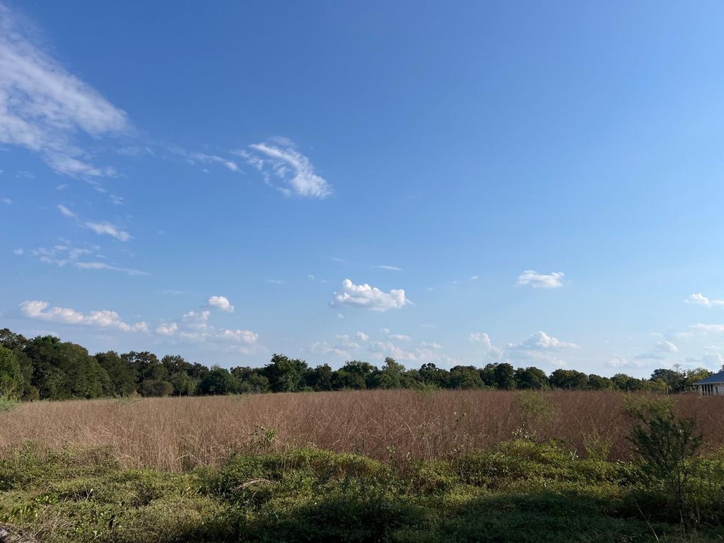 Photo of TBD Park Lane, Chappell Hill, TX 77426 (MLS # 91104432)