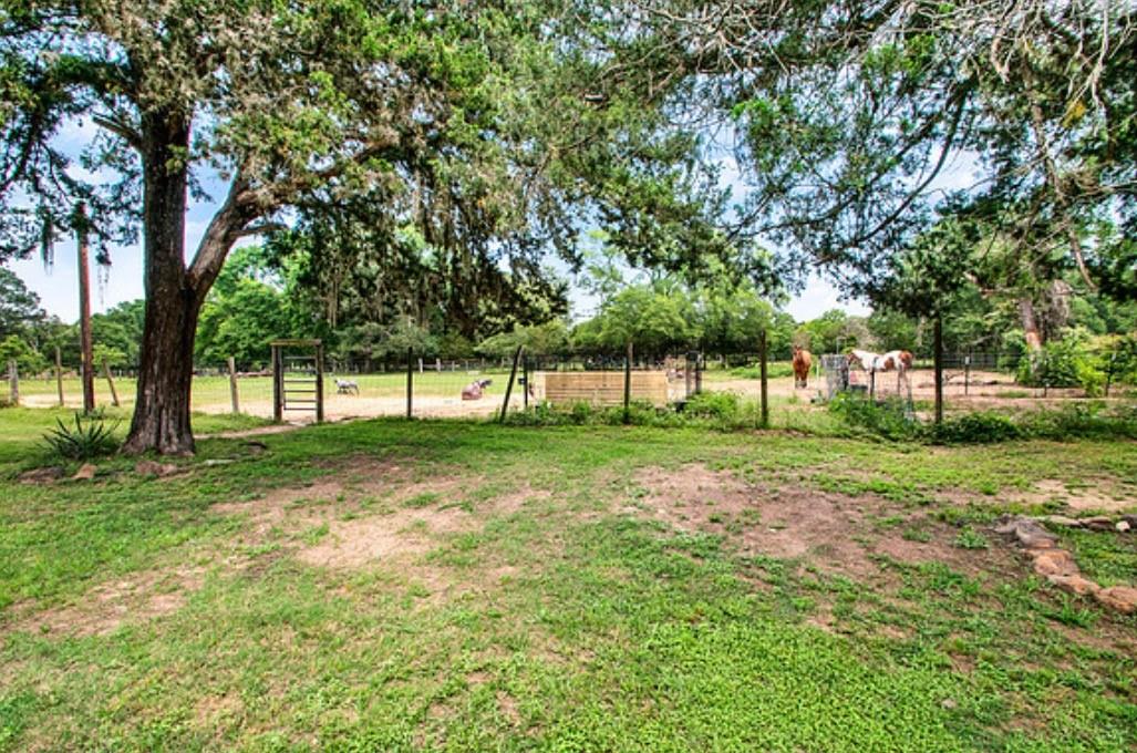 31378 Claud Lane
