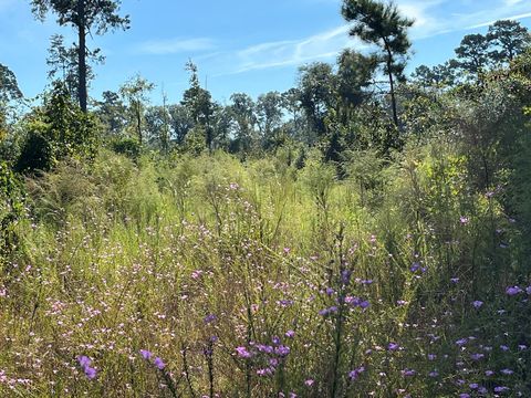 Vacant Land For Sale - TBD Fm 1745<br/> Colmesneil, TX 75938