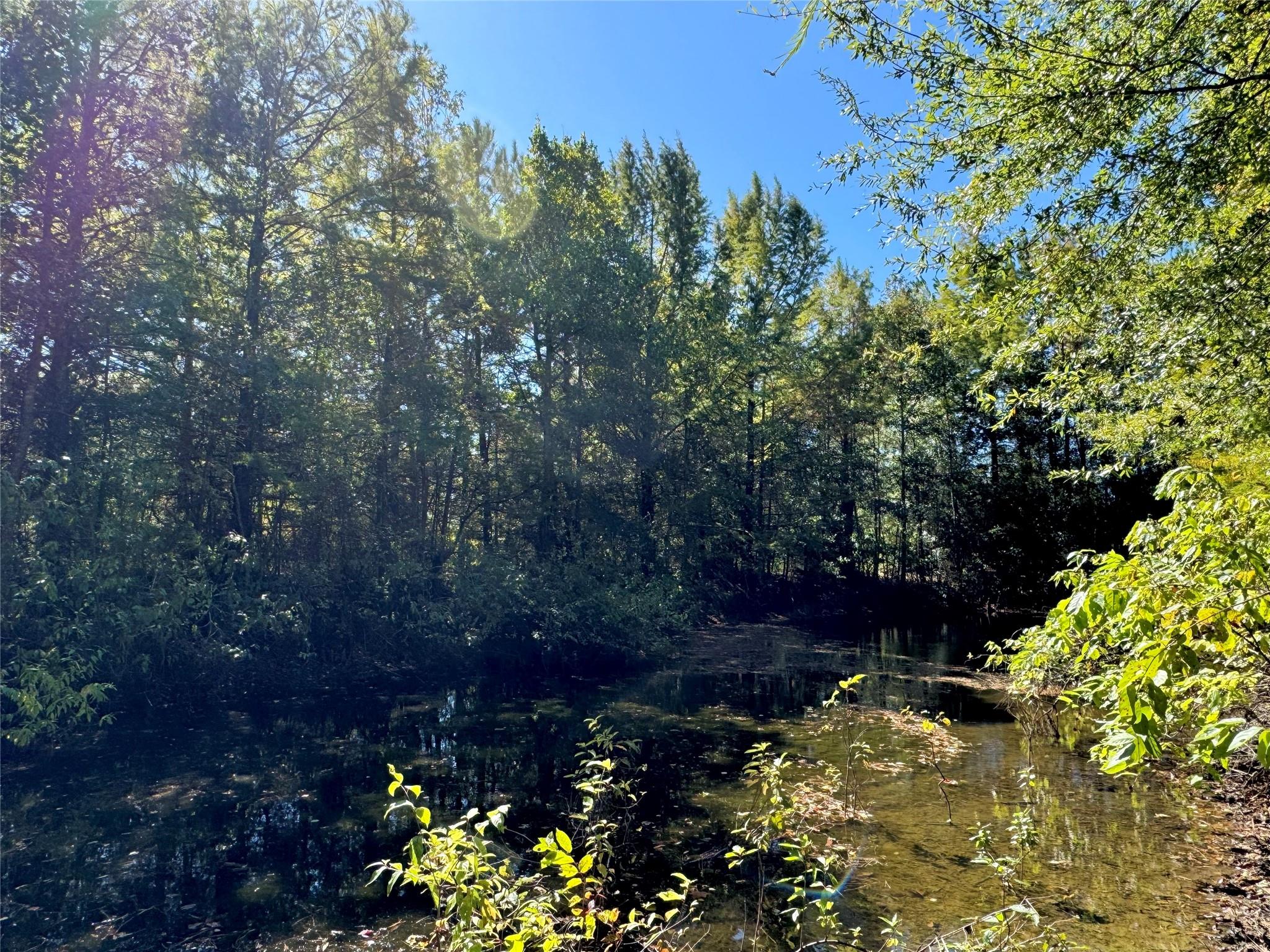 9596 State Highway 146 S