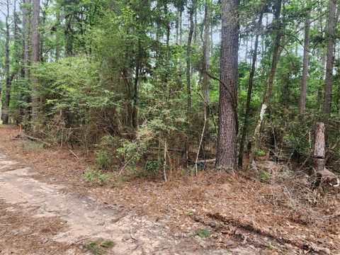 Photo of 277 Long King, Livingston, TX 77351 (MLS # 83859328)