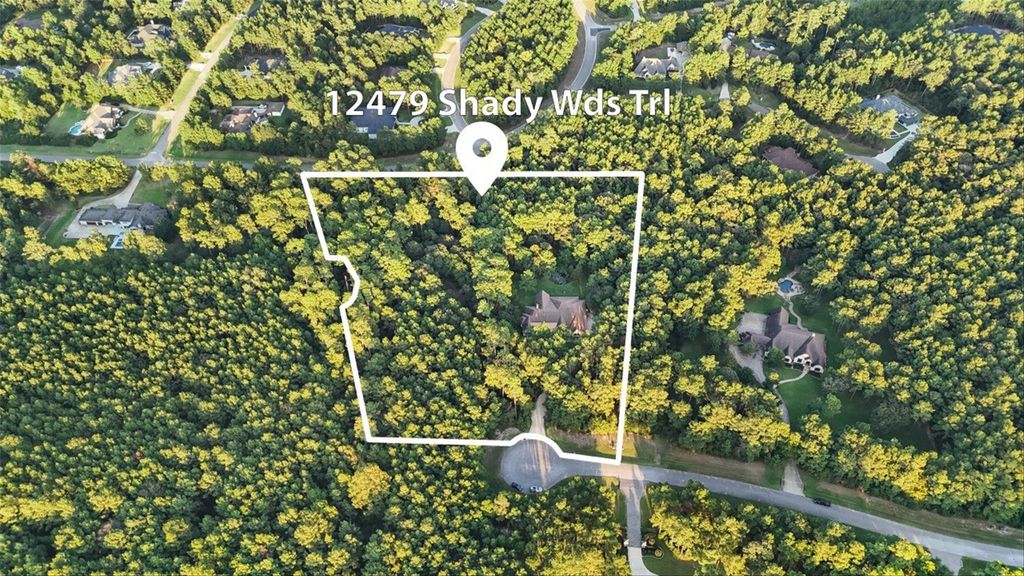 Photo of 12479 Shady Woods Trail, Montgomery, TX 77316 (MLS # 92706925)