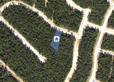 546907561