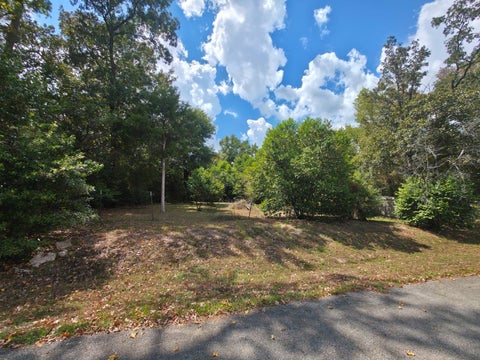 Photo of TBD Bonham Ln, Willis, TX 77378 (MLS # 47614147)
