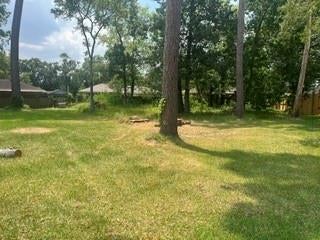 715 Sailfin Court