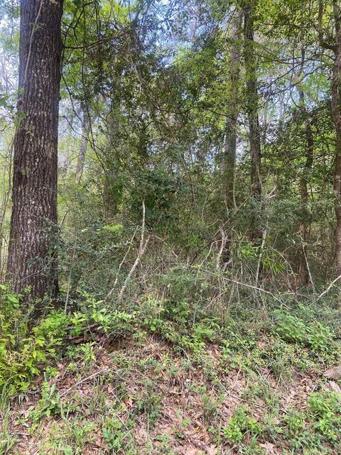 Vacant Land For Sale - Friar Tuck Drive<br/> Shepherd, TX 77371