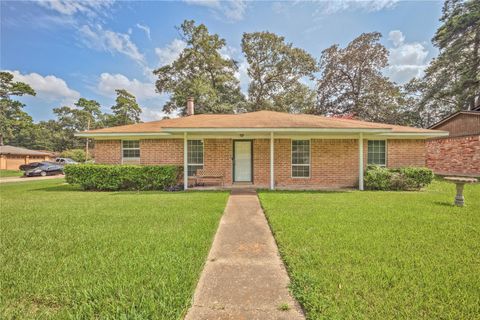 Photo of 1914 Woodway Drive, Woodbranch, TX 77357 (MLS # 31651903)