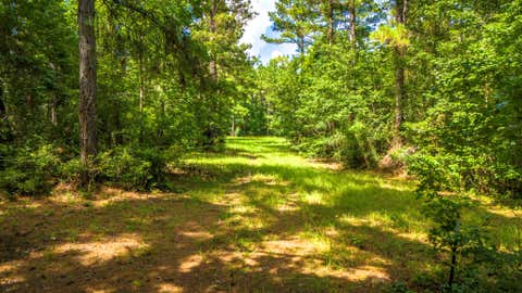 Vacant Land For Sale - 45 ACRES Fm 229<br/> Crockett, TX 75835