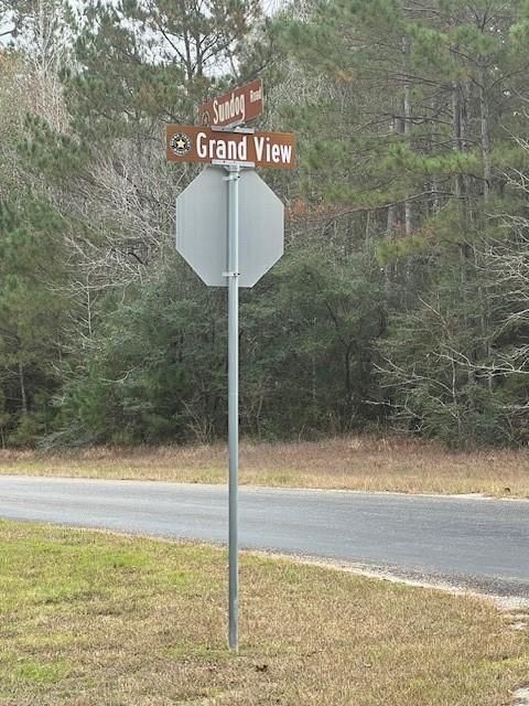 40 Grand View Huntsville TX 77340