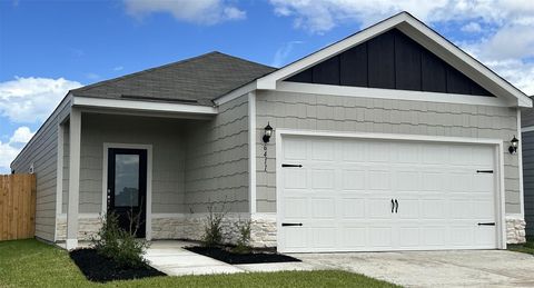 Photo of 6411 Winter Elm Street, Houston, TX 77048 (MLS # 10849846)