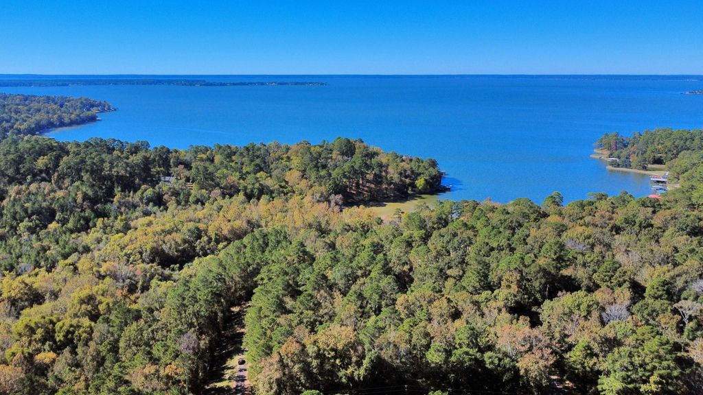 Photo of TBD Deer Ridge Lot 73 Drive, Livingston, TX 77351 (MLS # 88288637)