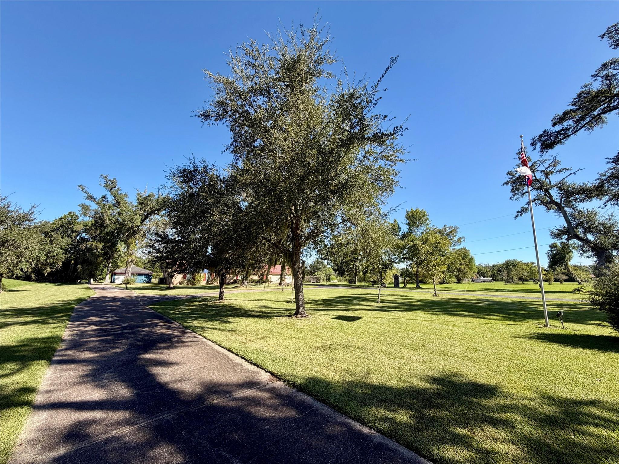 1231 County Road 201a