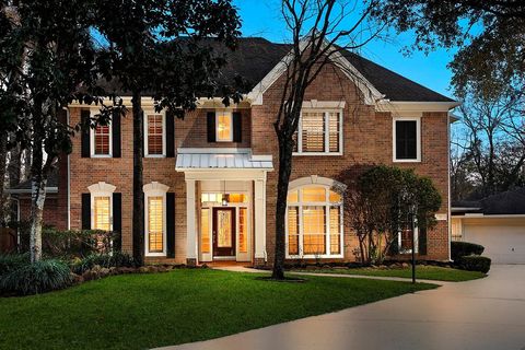 71 Ivory Moon Place The Woodlands TX 77381
