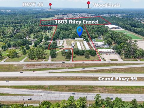 1803 Riley Fuzzel Spring TX 77386