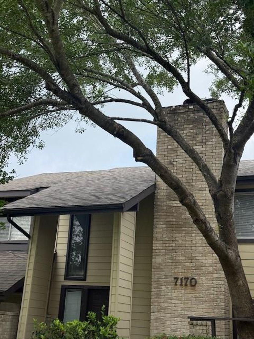 Photo of 7170 S Dairy Ashford Road, Houston, TX 77072 (MLS # 23906384)