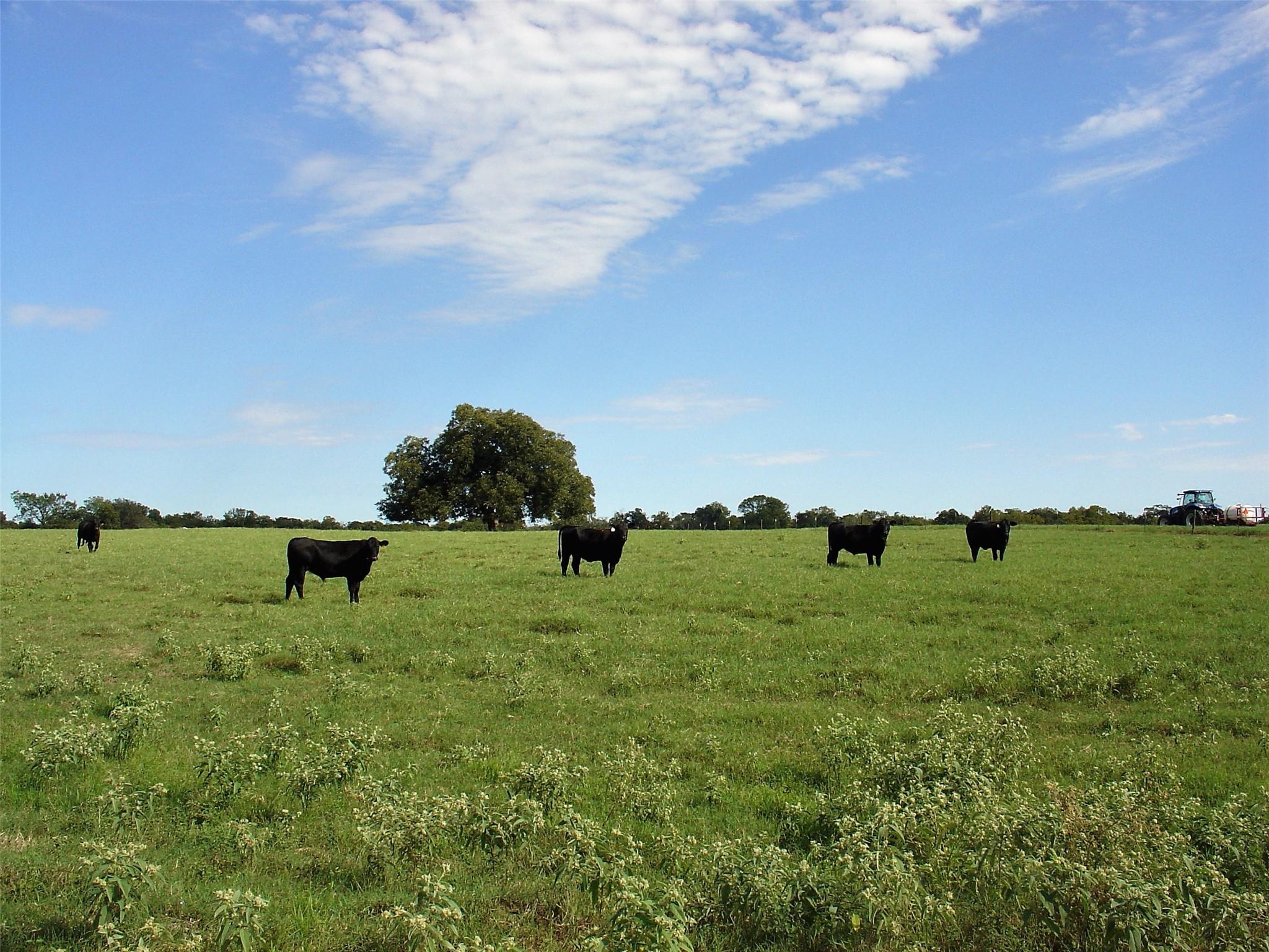 53681 Us 290 Highway