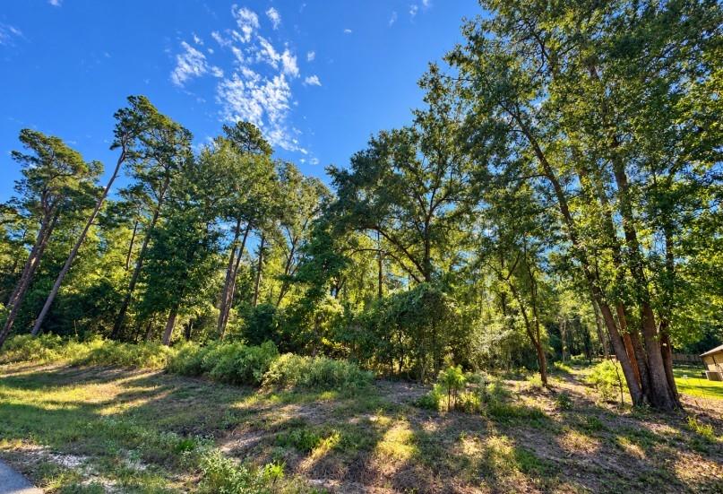 15-35-4 Feldspar Lane