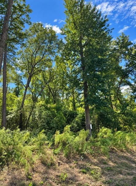 15-35-4 Feldspar Lane