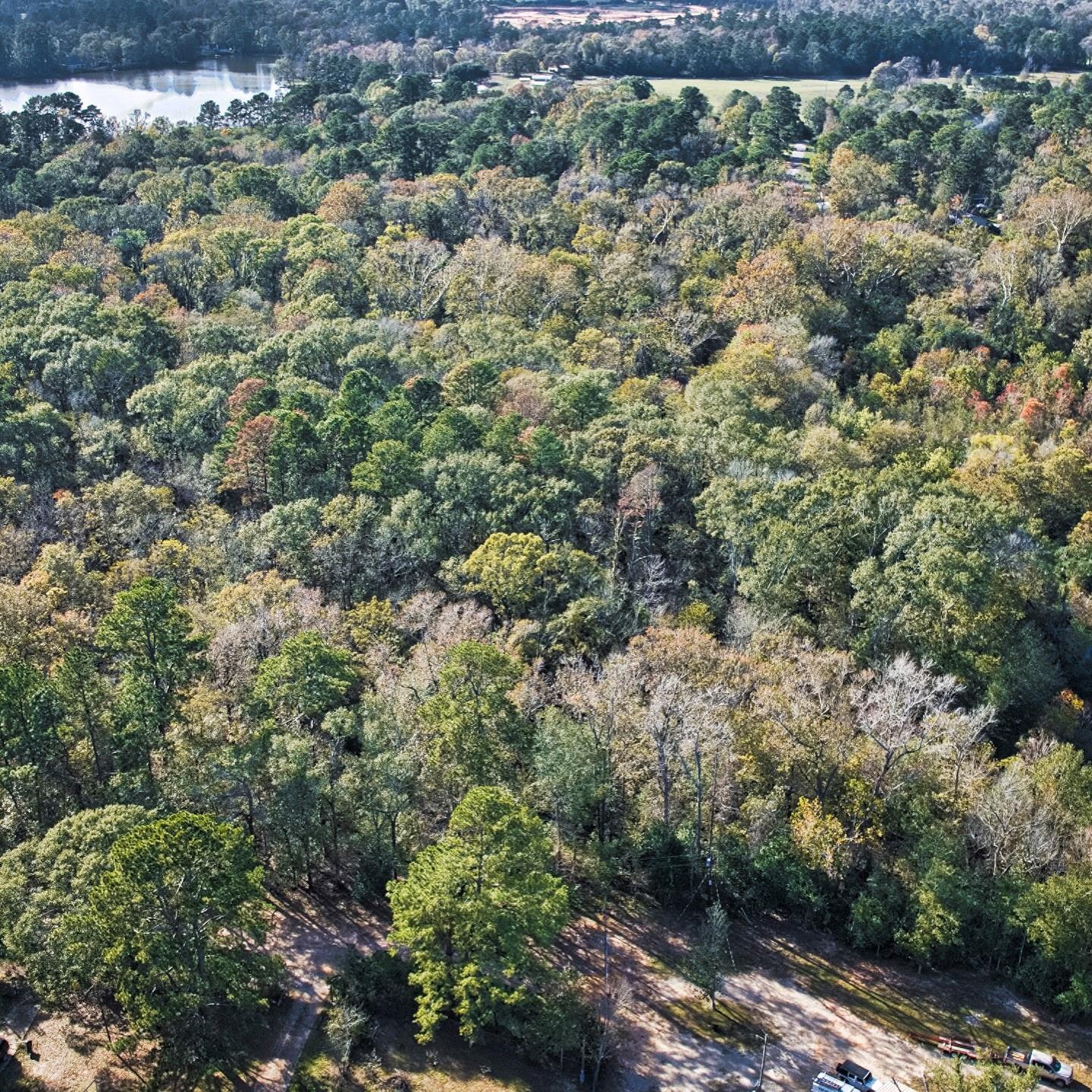 468A & 469B Royal Creek Road