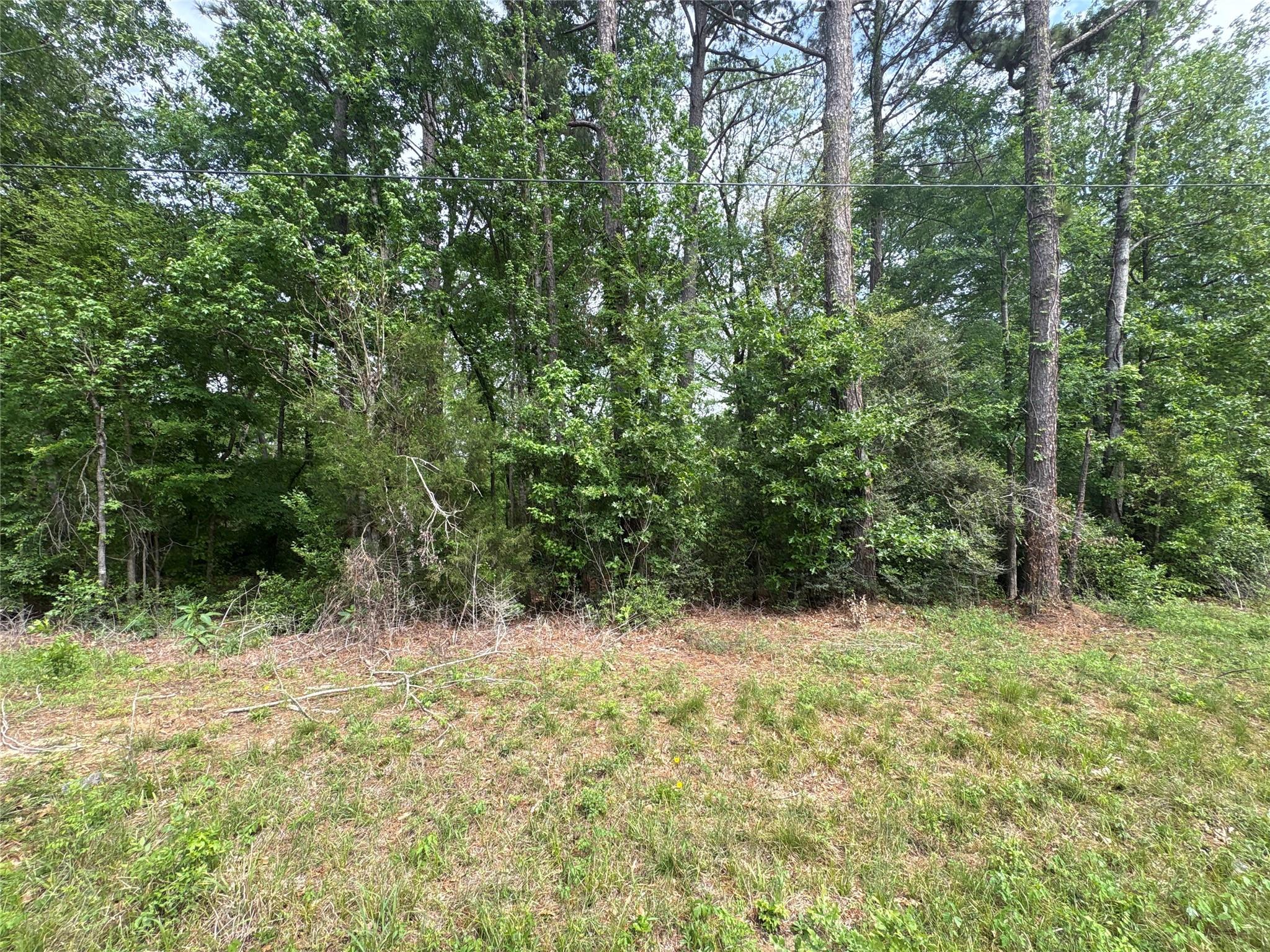 468A & 469B Royal Creek Road