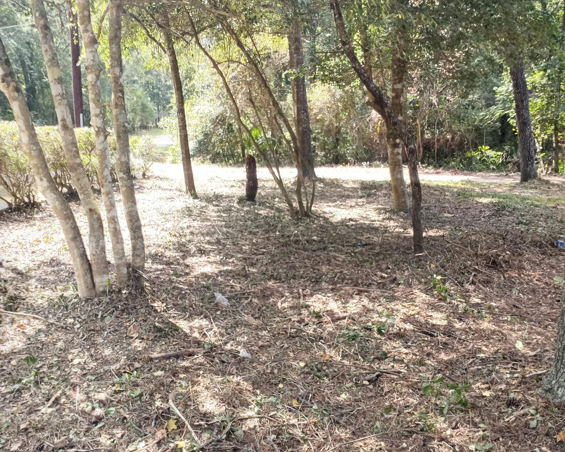 37402 Robin George Trail