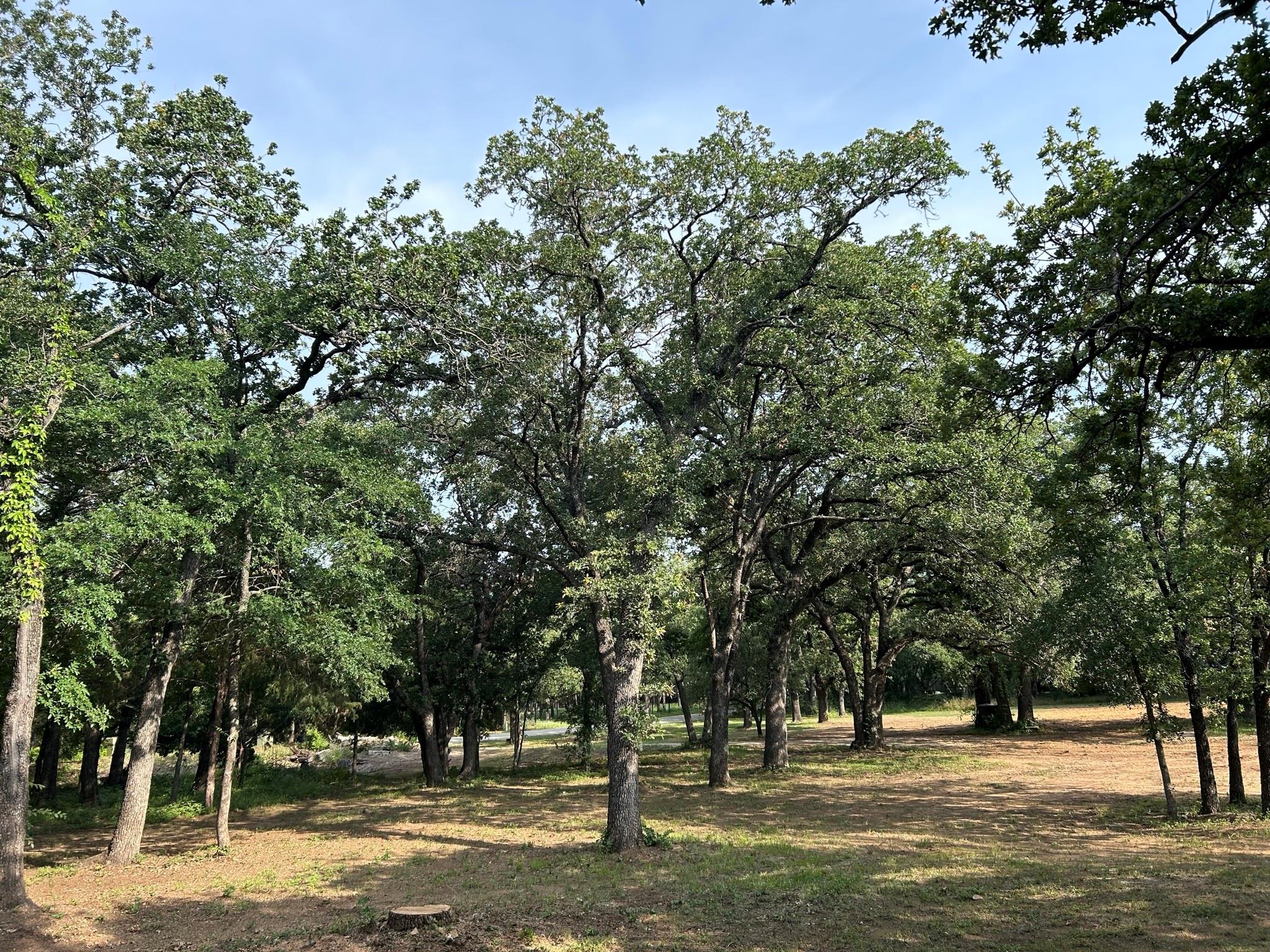 8704 Buckner Lane