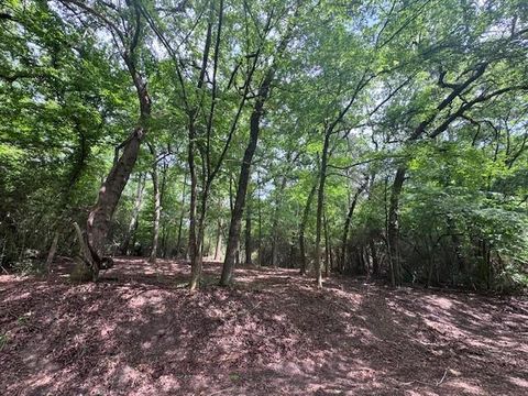 Photo of 5 Spreading Oak, Trinity, TX 75862 (MLS # 30526267)
