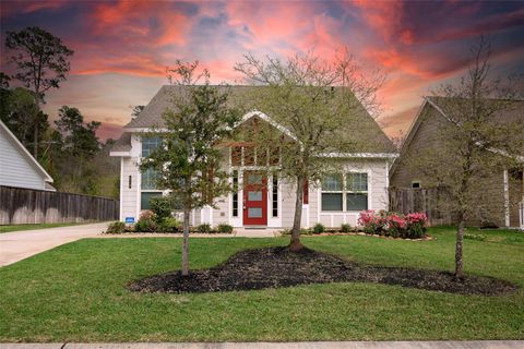 216 N Lynx Trail Montgomery TX 77316