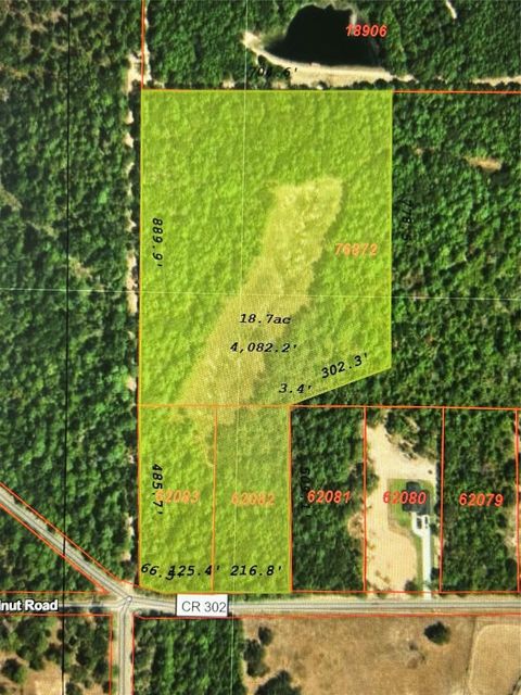 Photo of 0 County Road 302, Plantersville, TX 77363 (MLS # 50418526)