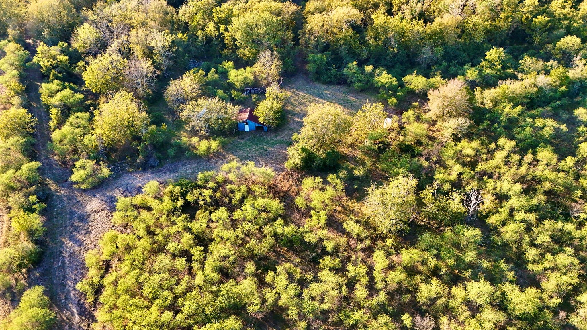 00 Pilcik Road